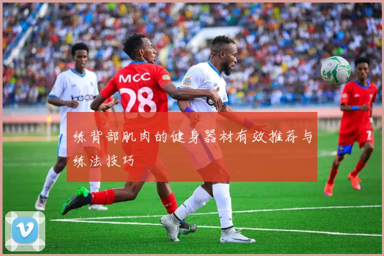 练背部肌肉的健身器材有效推荐与练法技巧