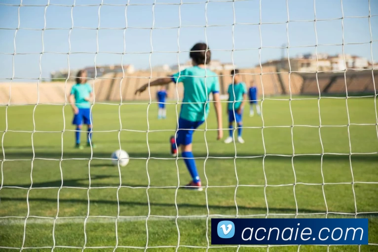 九游官网APP 封面图